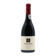 Costa Boal Tinto Cão Rot 2017