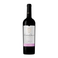 Quinta do Salvante Touriga Nacional Grande Riserva Rosso 2019