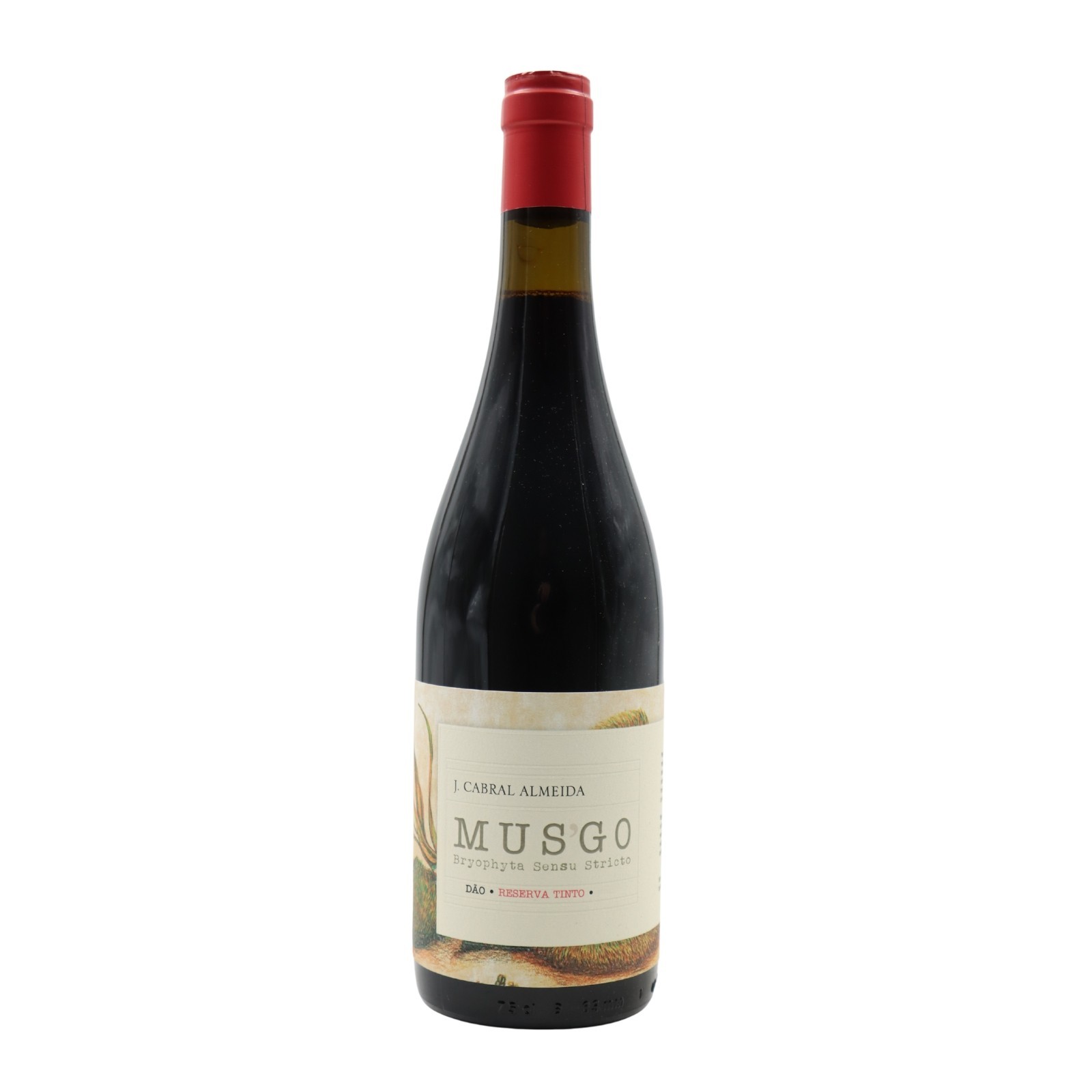 Musgo Reserve Rot 2019