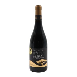 Monte Penedo Gordo Premium Red 2023