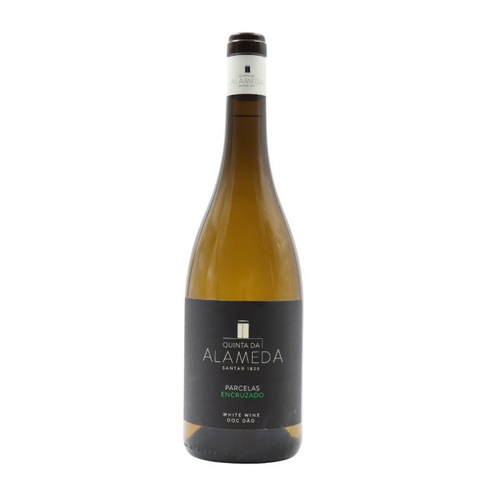 Quinta da Alameda Parcelas Encruzado Bianco 2023