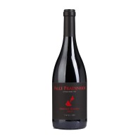 Valle Pradinhos Grande Riserva Rosso 2020