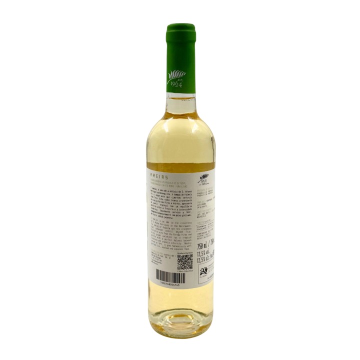 Ameias White 2019