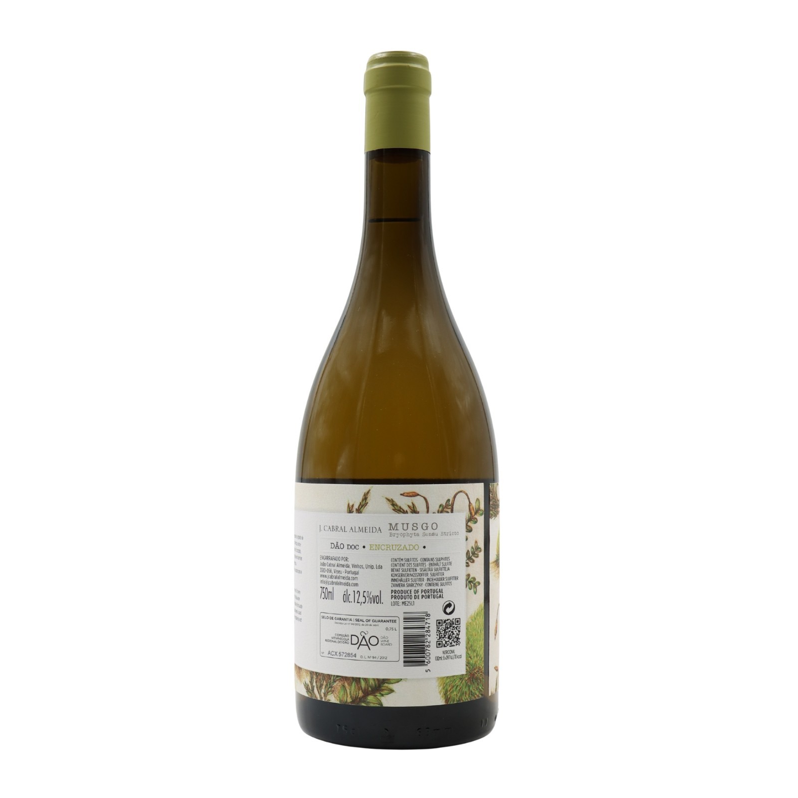 Musgo Encruzado Blanco 2024