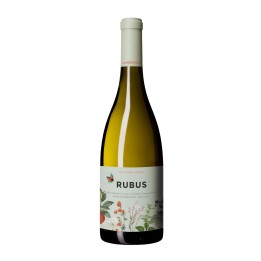 Rubus Weiß 2025