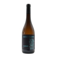 João Clara Alvarinho Bianco 2021