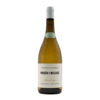 Quinta de Santiago Vinha do Pisco White 2024