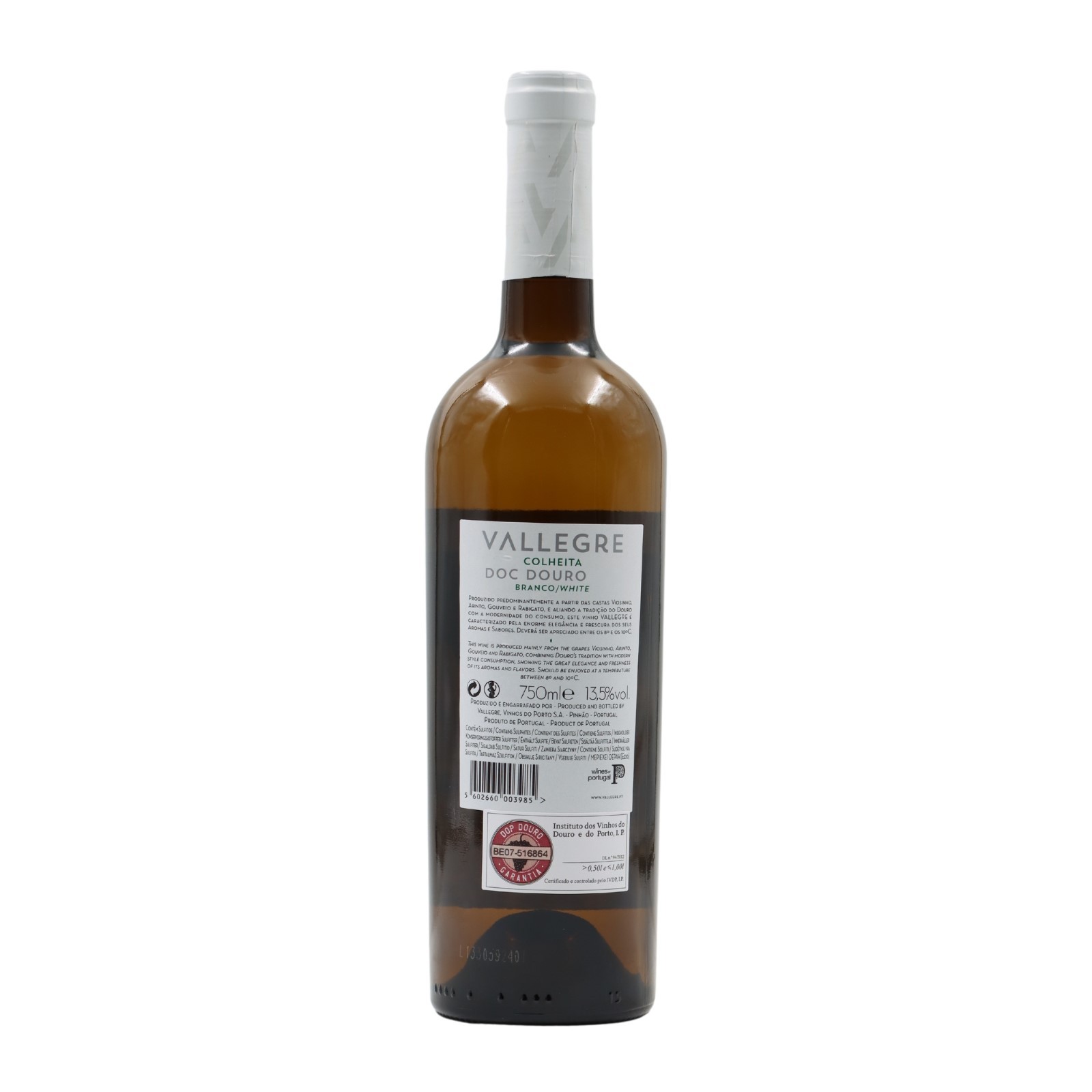 Vallegre White 2024