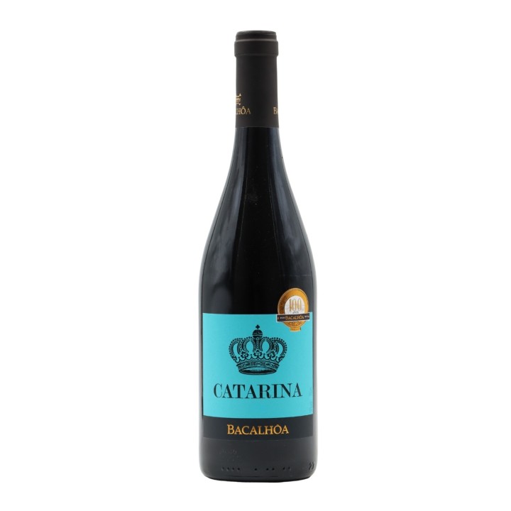 Catarina Tinto 2023