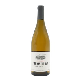 Pico Wines Terras de Lava White 2024