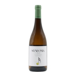 Synfonia White 2024