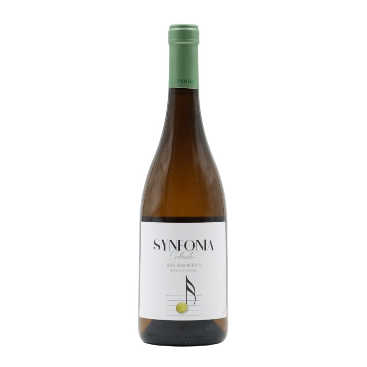 Synfonia White 2024