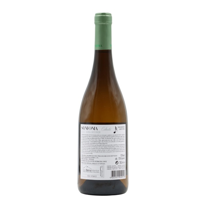 Synfonia White 2024