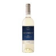 Carm Cosmos Weiß 2025