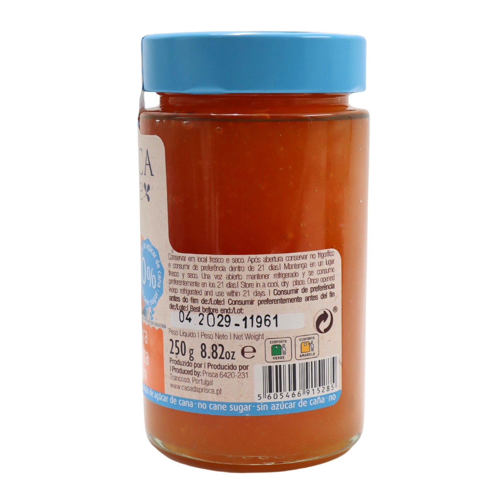 Prisca Pumpkin Nature Jam