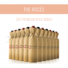 The Rosés - A selection of 12x Premium wines
