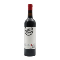 Baga Friends Red 2015