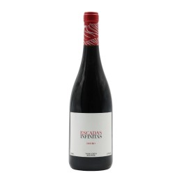 Escadas Infinitas Red 2021