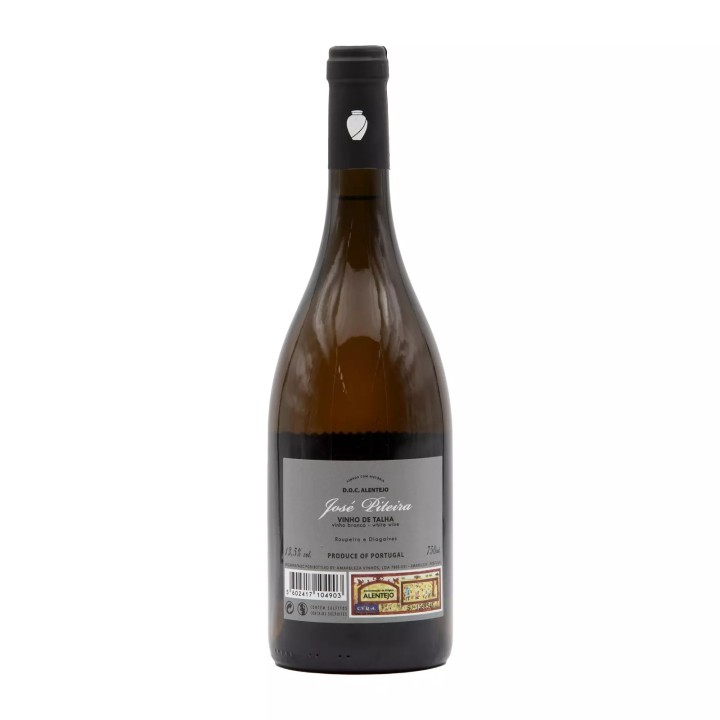 José Piteira Talha White 2019