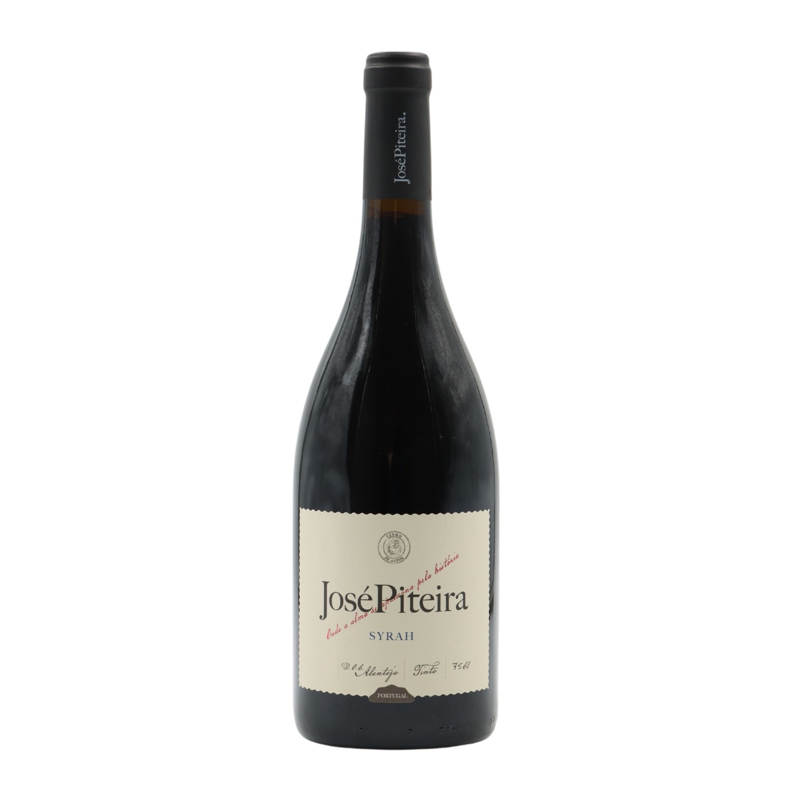 José Piteira Syrah Rot 2022
