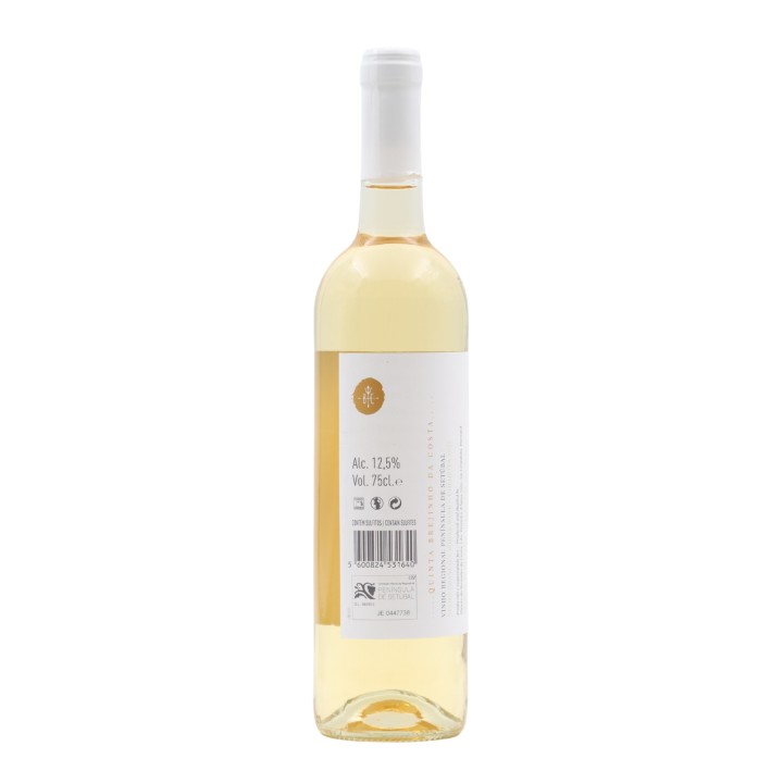 Brejinho da Costa Colheita Blanco 2022