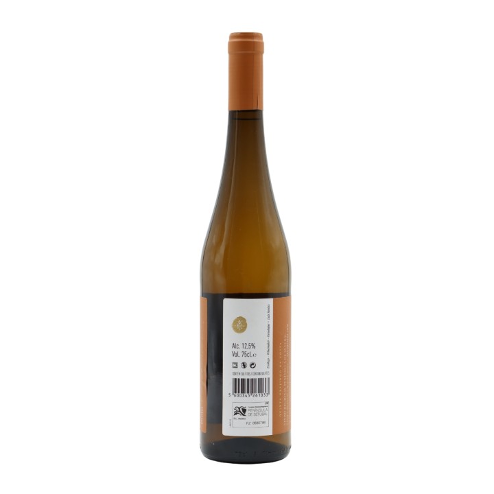 Brejinho da Costa Alvarinho Weiß 2023