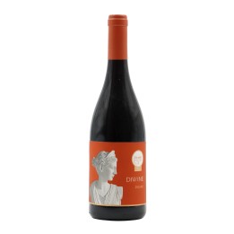 Bulas Diwine Red 2020