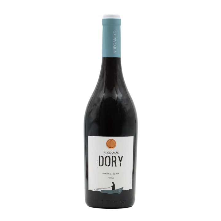 Dory Rot 2023