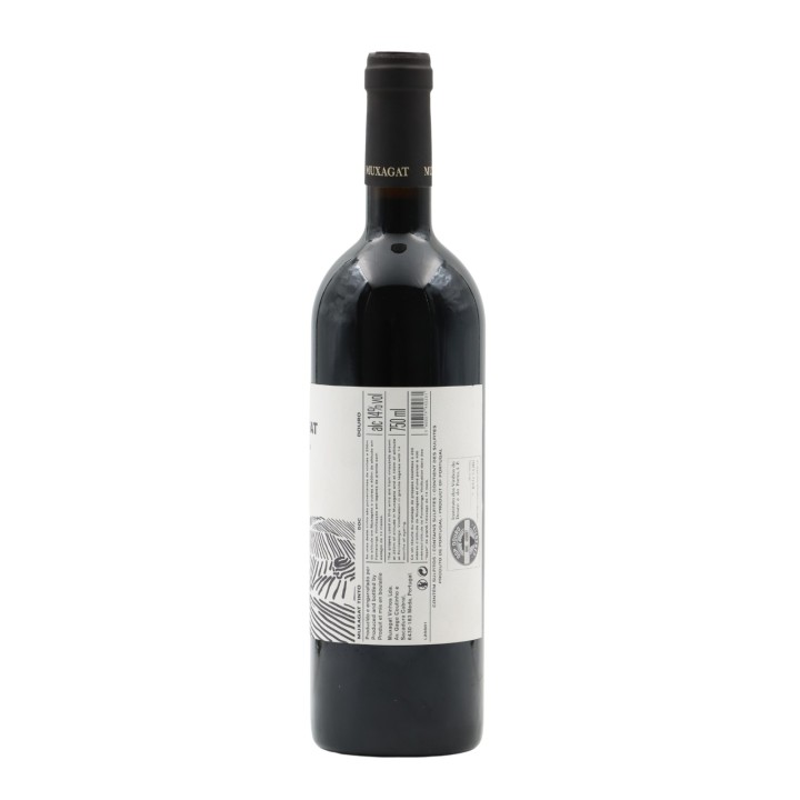 Muxagat Rosso 2016
