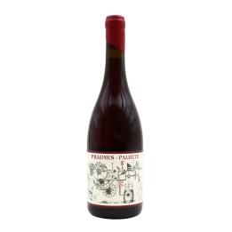 Phaunus Amphora Palhete Rot 2023
