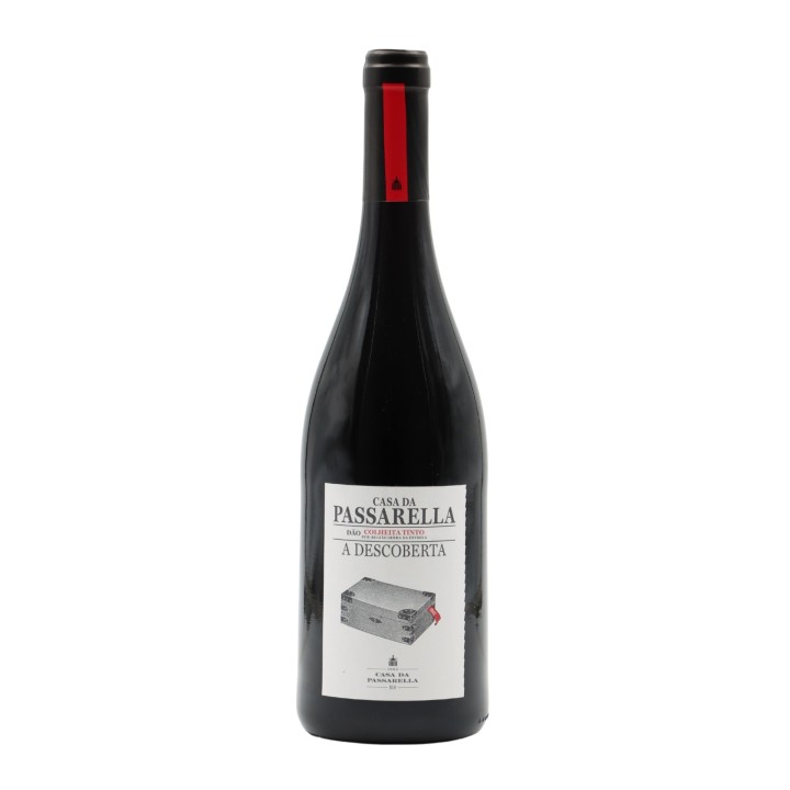 Passarella A Descoberta Red 2022