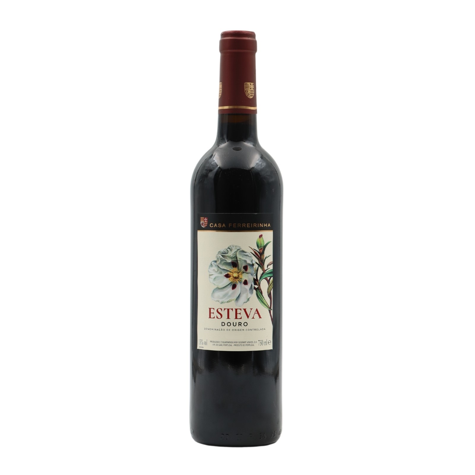 Esteva Red 2024