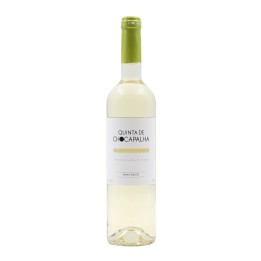 Chocapalha Bianco 2022