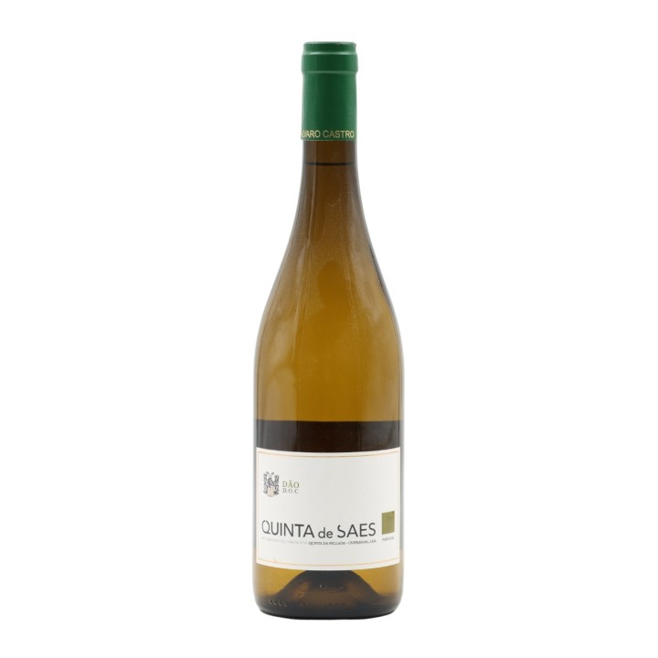 Quinta de Saes Bianco 2025