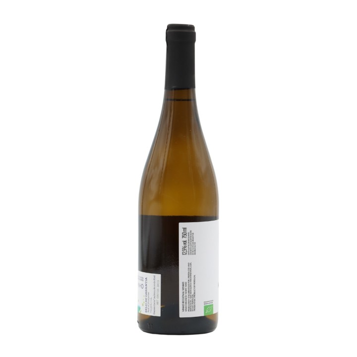 Monólogo Sauvignon Blanc Bianco 2023