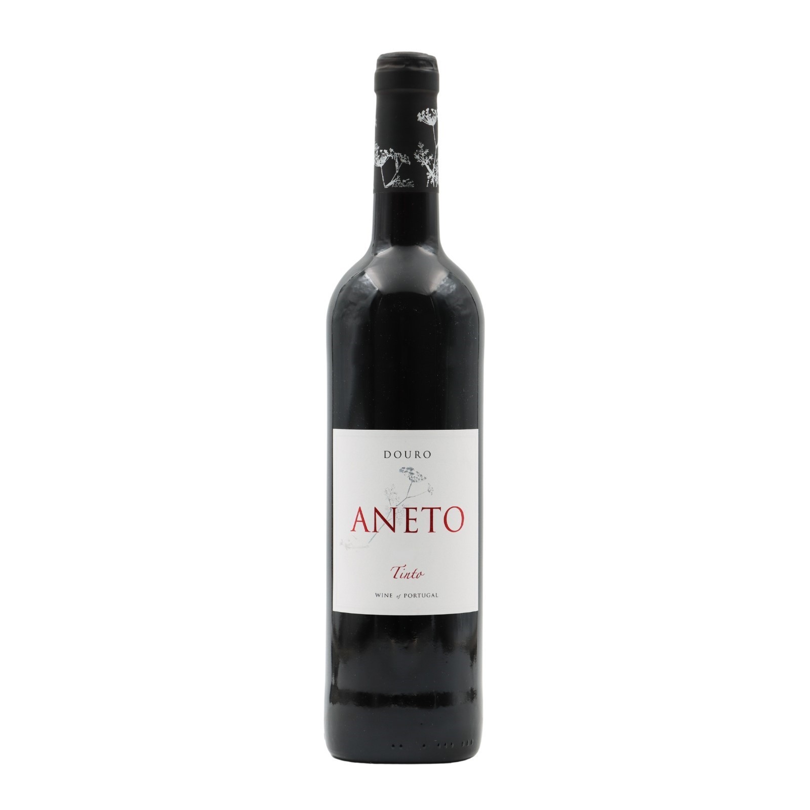 Aneto Red 2021