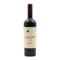 Palato do Côa Reserve Red 2021