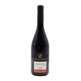 Picos do Couto Grande Escolha Rot 2016