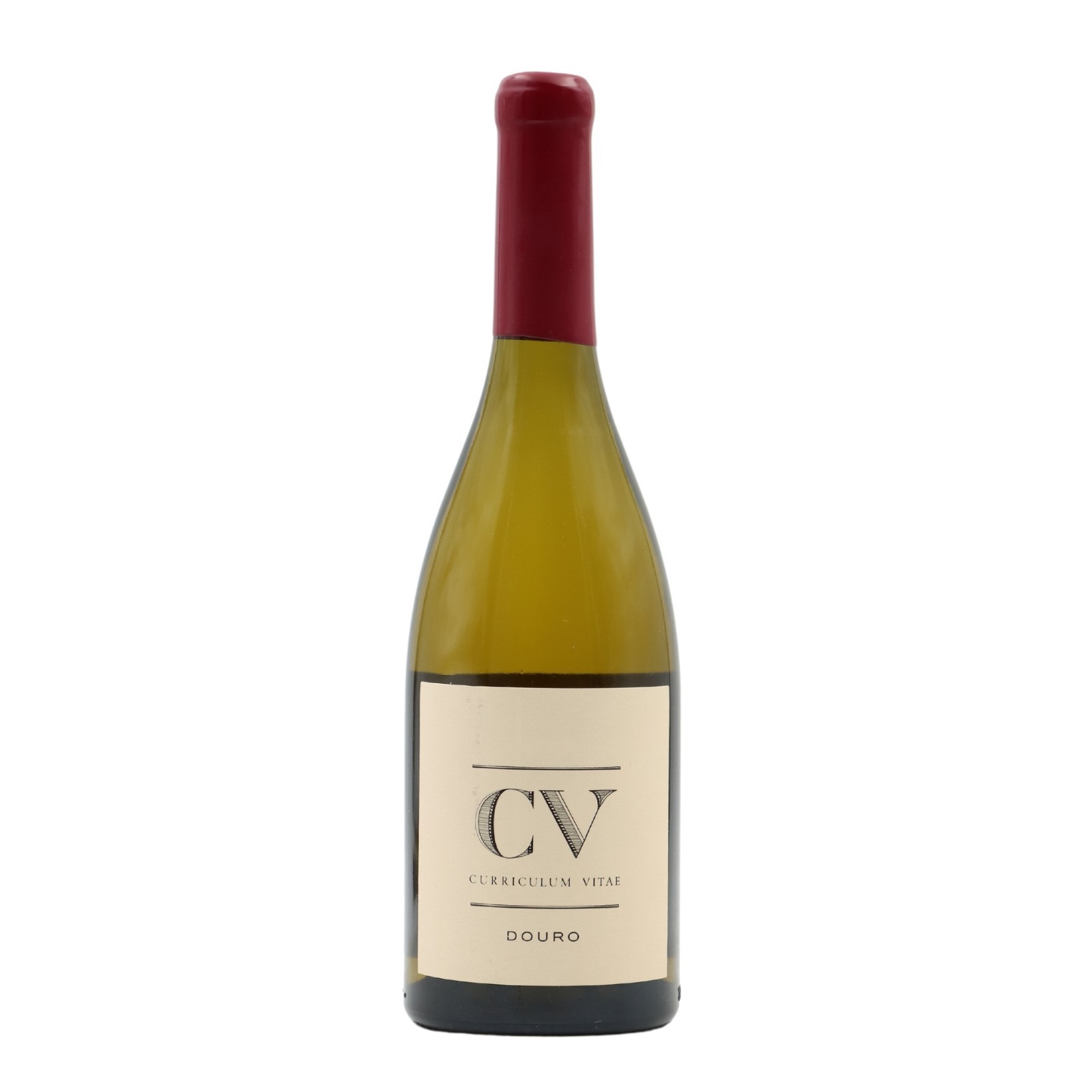 CV Curriculum Vitae White 2022