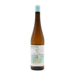 Eruptio Bianco 2019