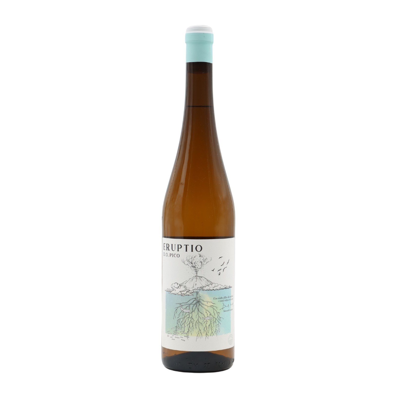 Eruptio Bianco 2019