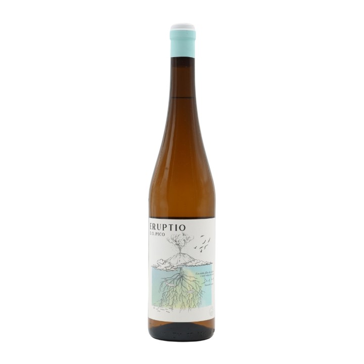 Eruptio Bianco 2019