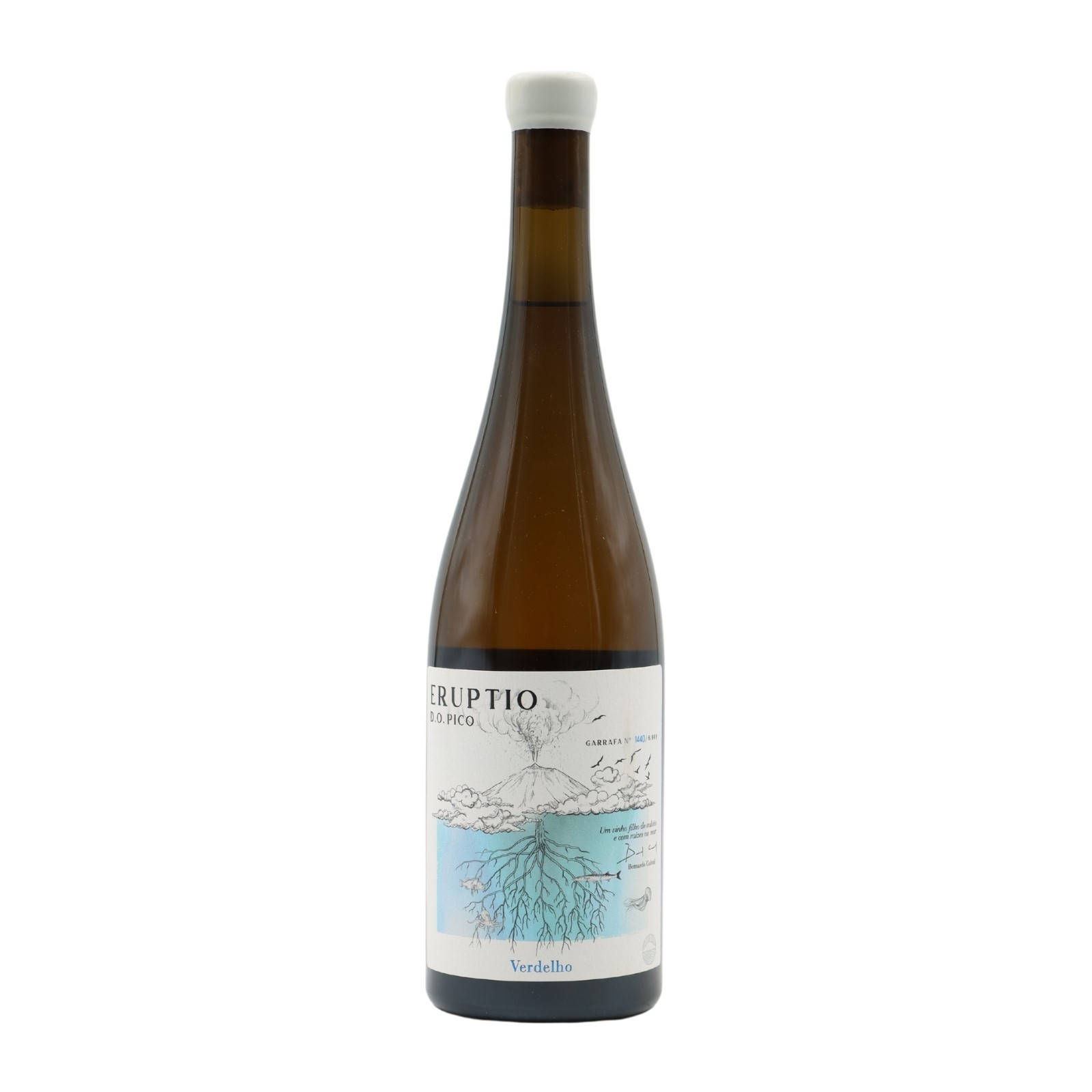 Eruptio Verdelho Blanco 2021