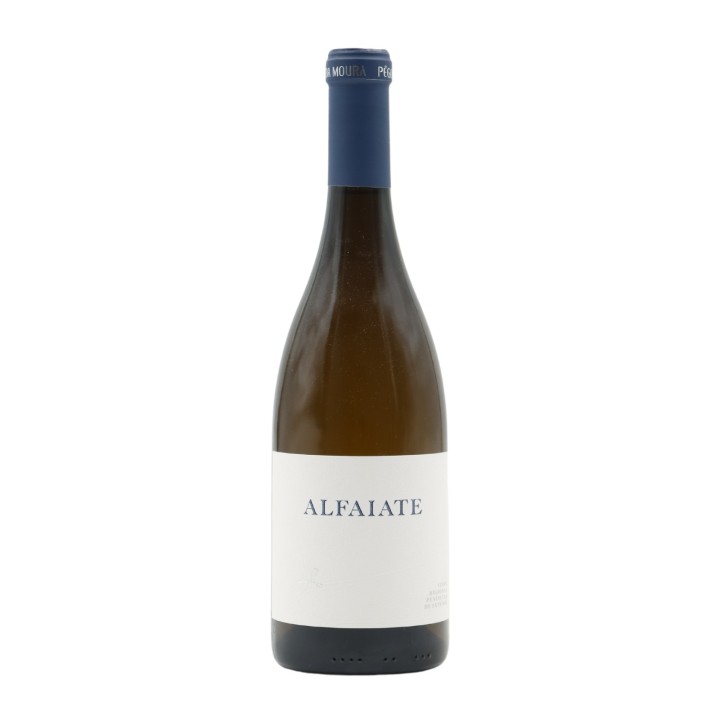 Alfaiate White 2021
