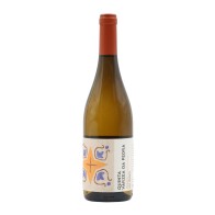 Quinta Várzea da Pedra Blanco 2024