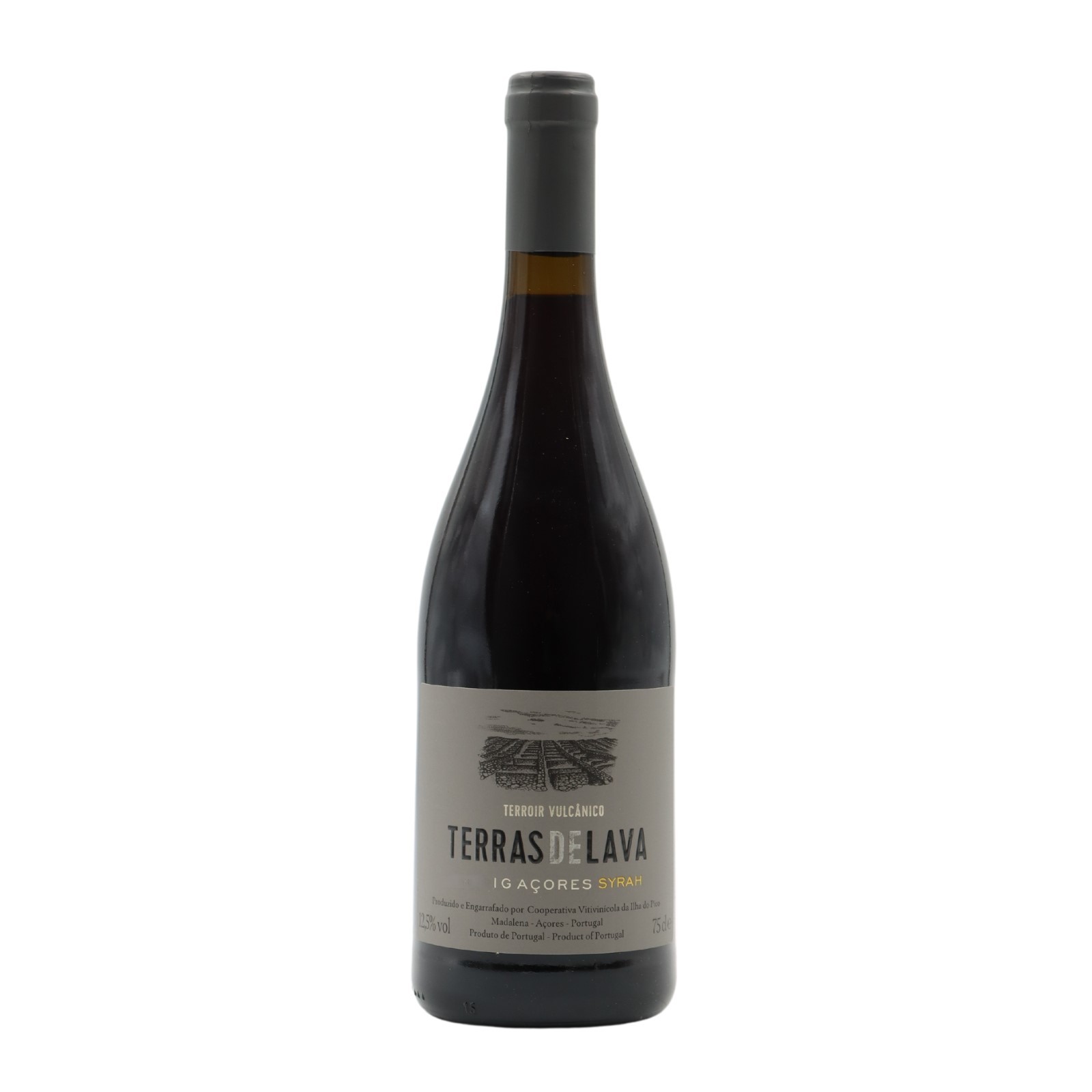 Pico Wines Terras de Lava Syrah Rot 2021