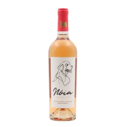 Nóia Rosado 2022