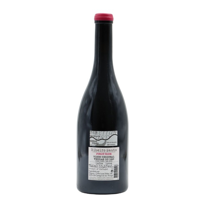 Ribeiro Santo Pinot Noir Rot 2019