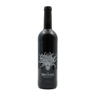 Medusa Rosso 2020