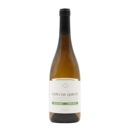 Chão da Quinta Blanco 2023
